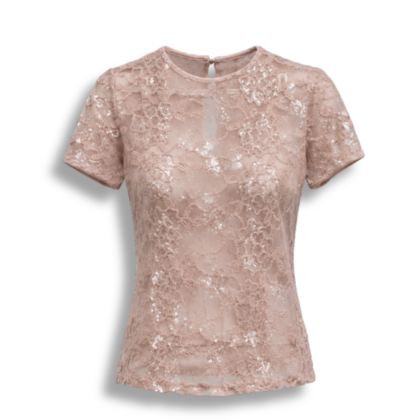 blusa transparente bordada